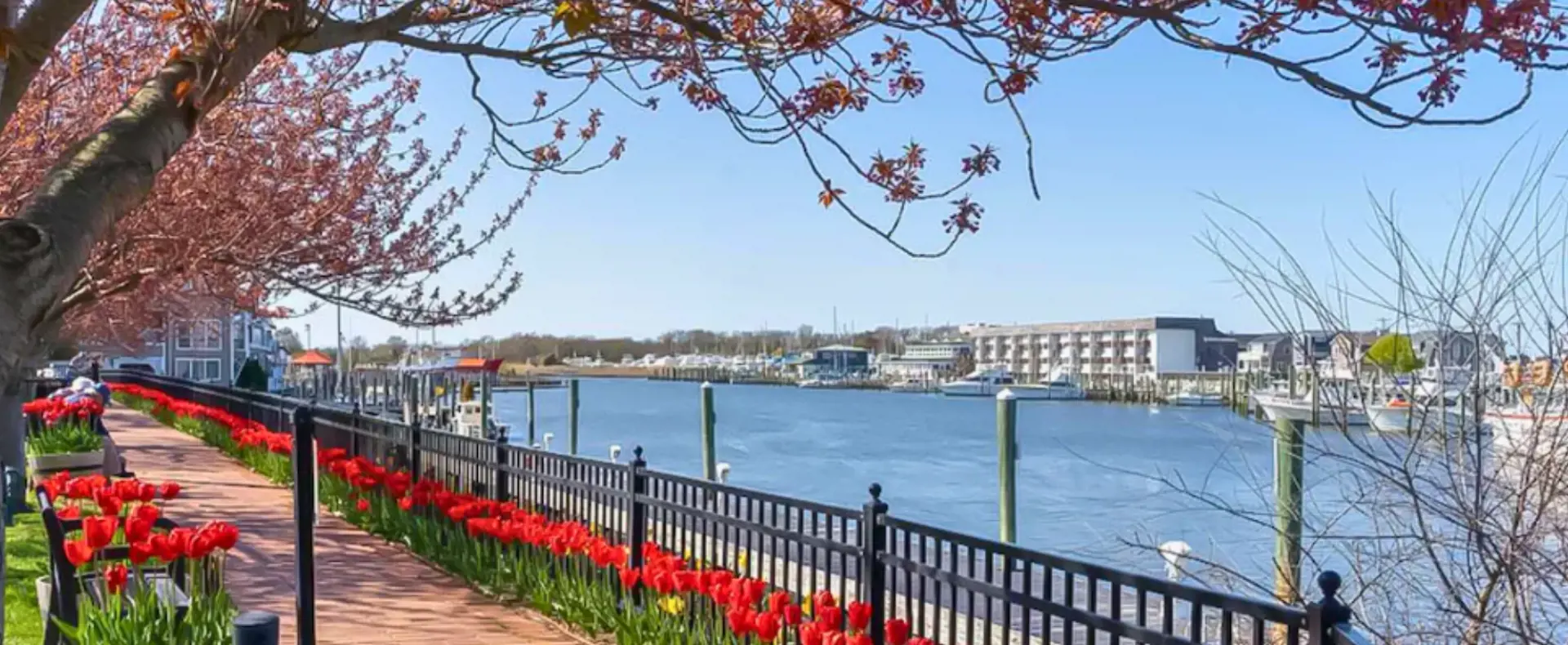 Delaware, Lewes